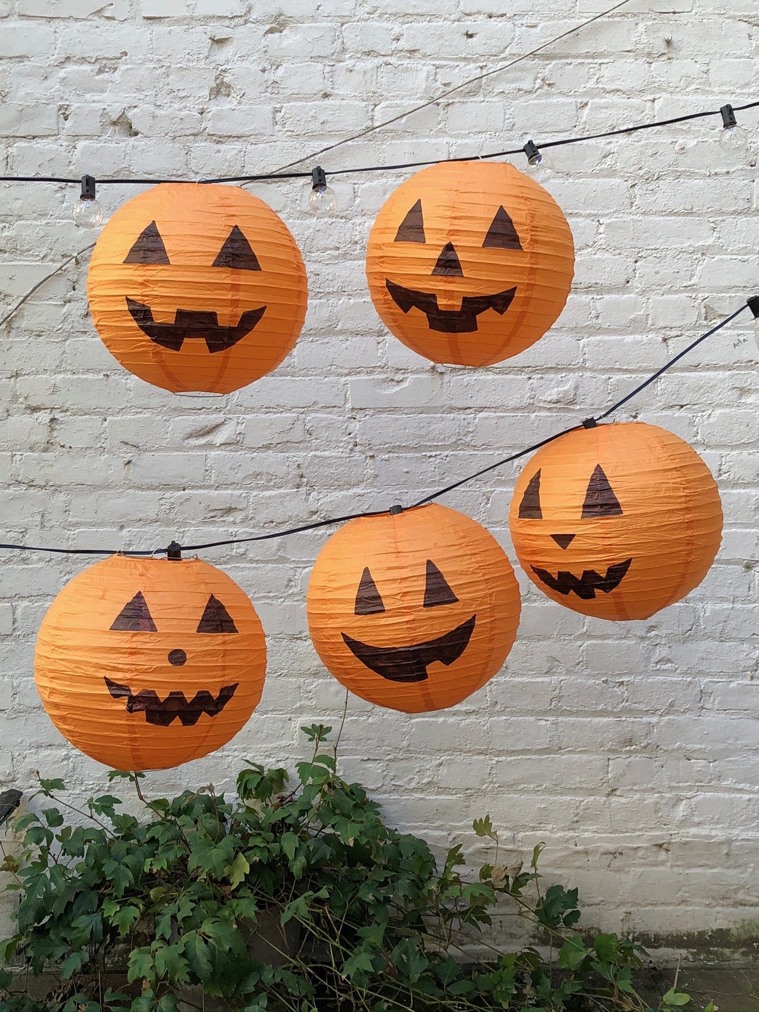 Jack-O-Paper-Lantern | Darcy Miller Designs