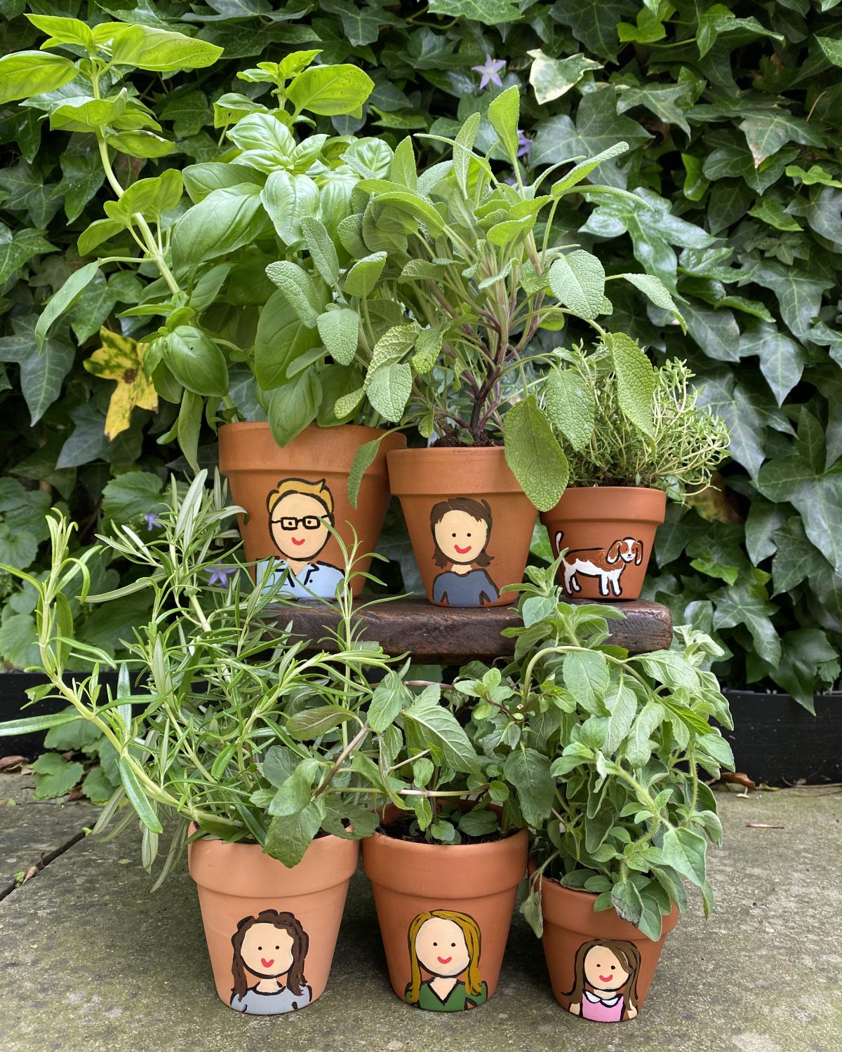 DIY Herb Pot Family