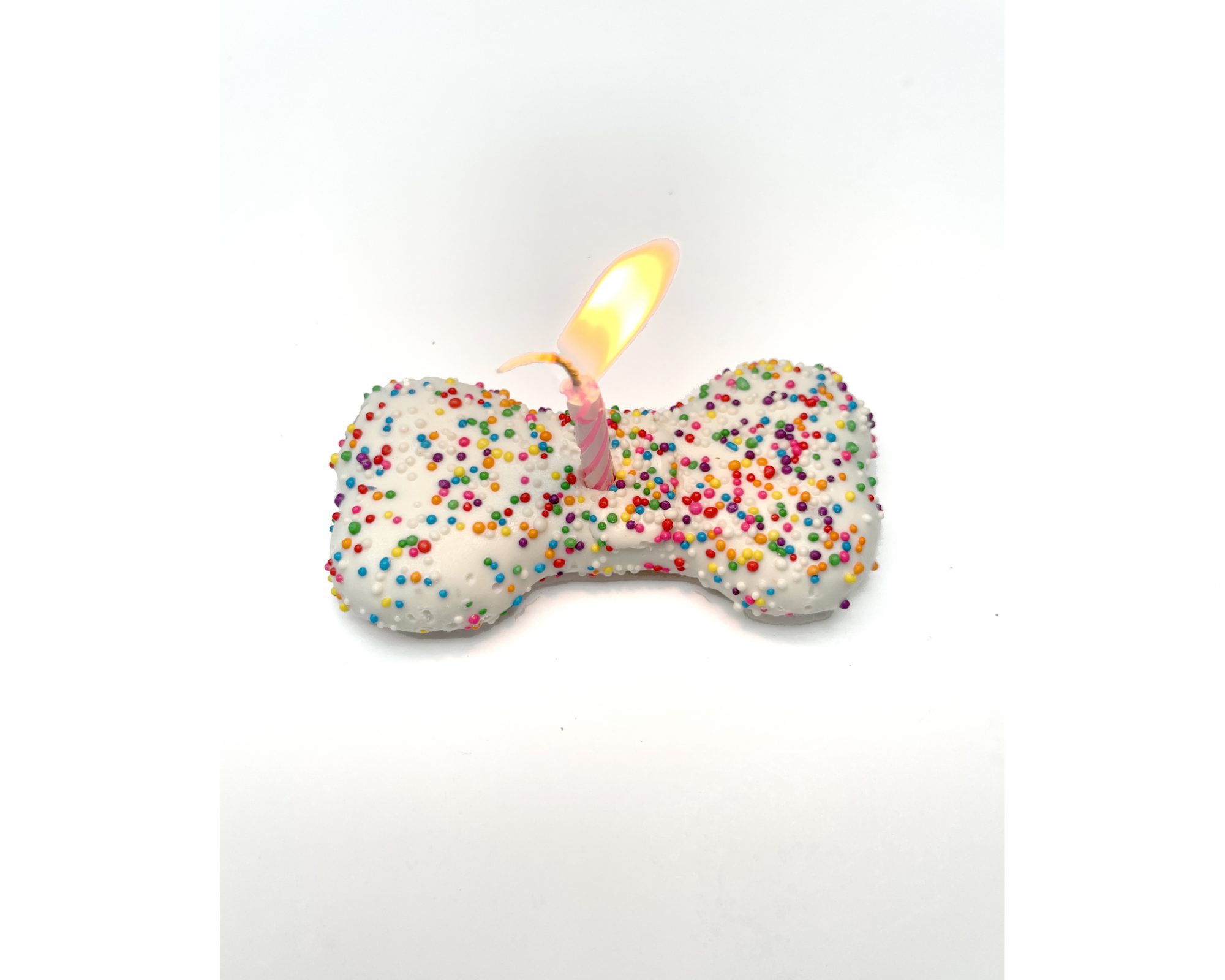 A Dog Birthday Party! Darcy Miller Designs