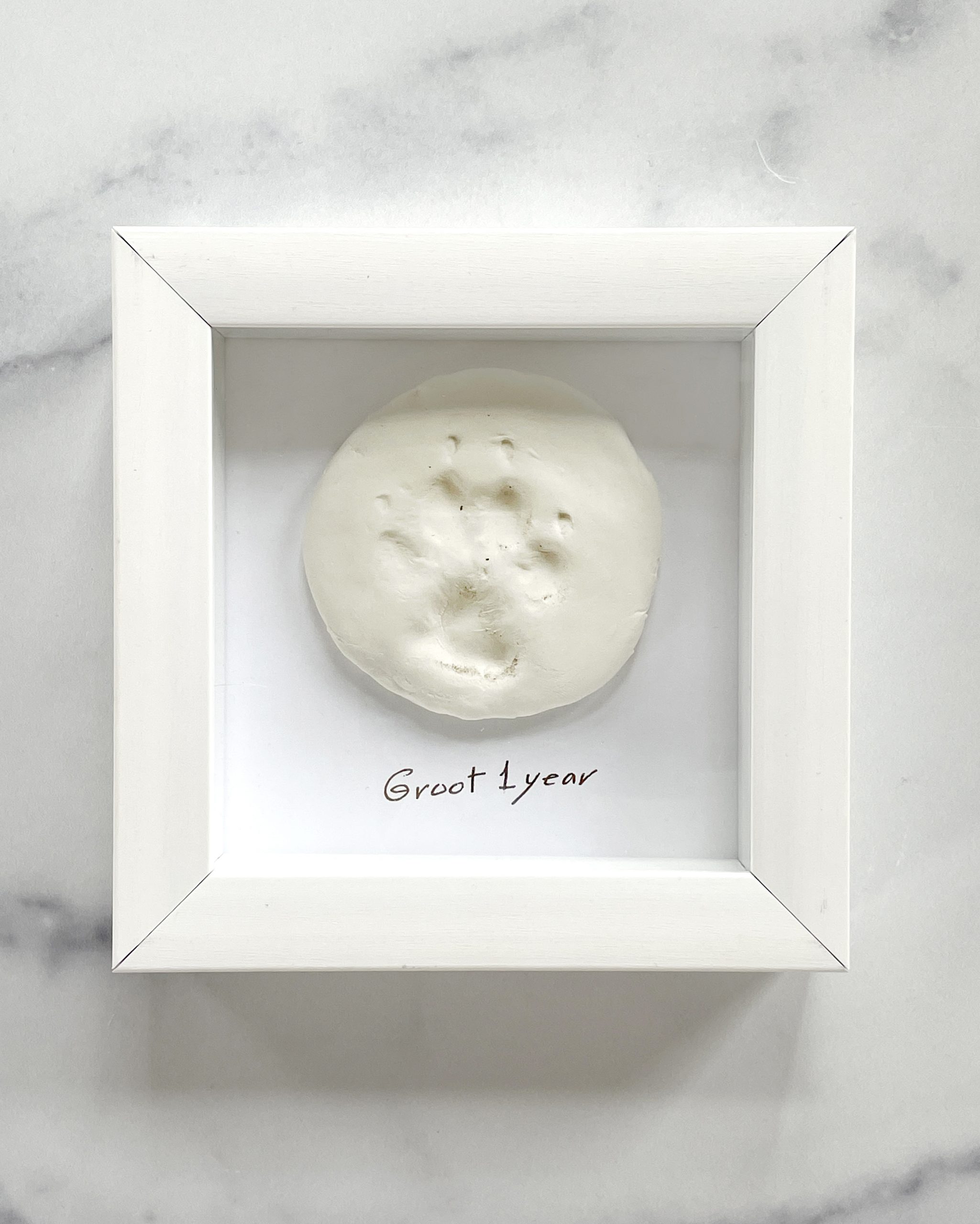 Pet Memorial Box Picture Frame with Paw Print Mold Kit - 3 Colors